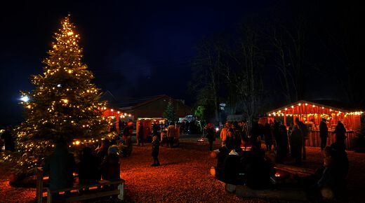 Adventswiese am Abend mit beleuchtetem Weihnachtsbaum auf dem Hof Püning