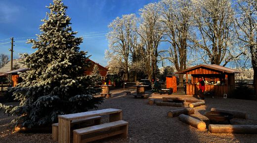 Adventswiese mit Blaufichte, Holzbänken und Feuerstellen im Raureif