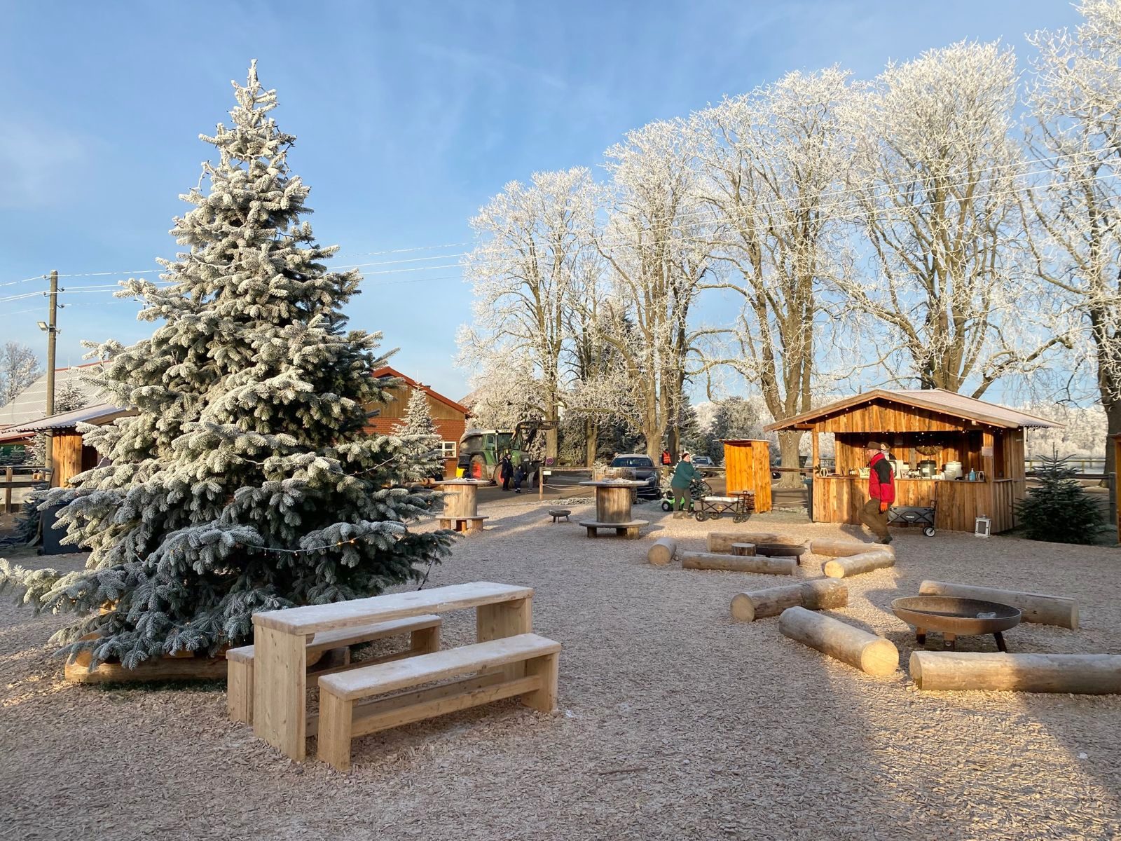 Adventswiese mit Blaufichte, Holzbänken und Feuerstellen im Raureif